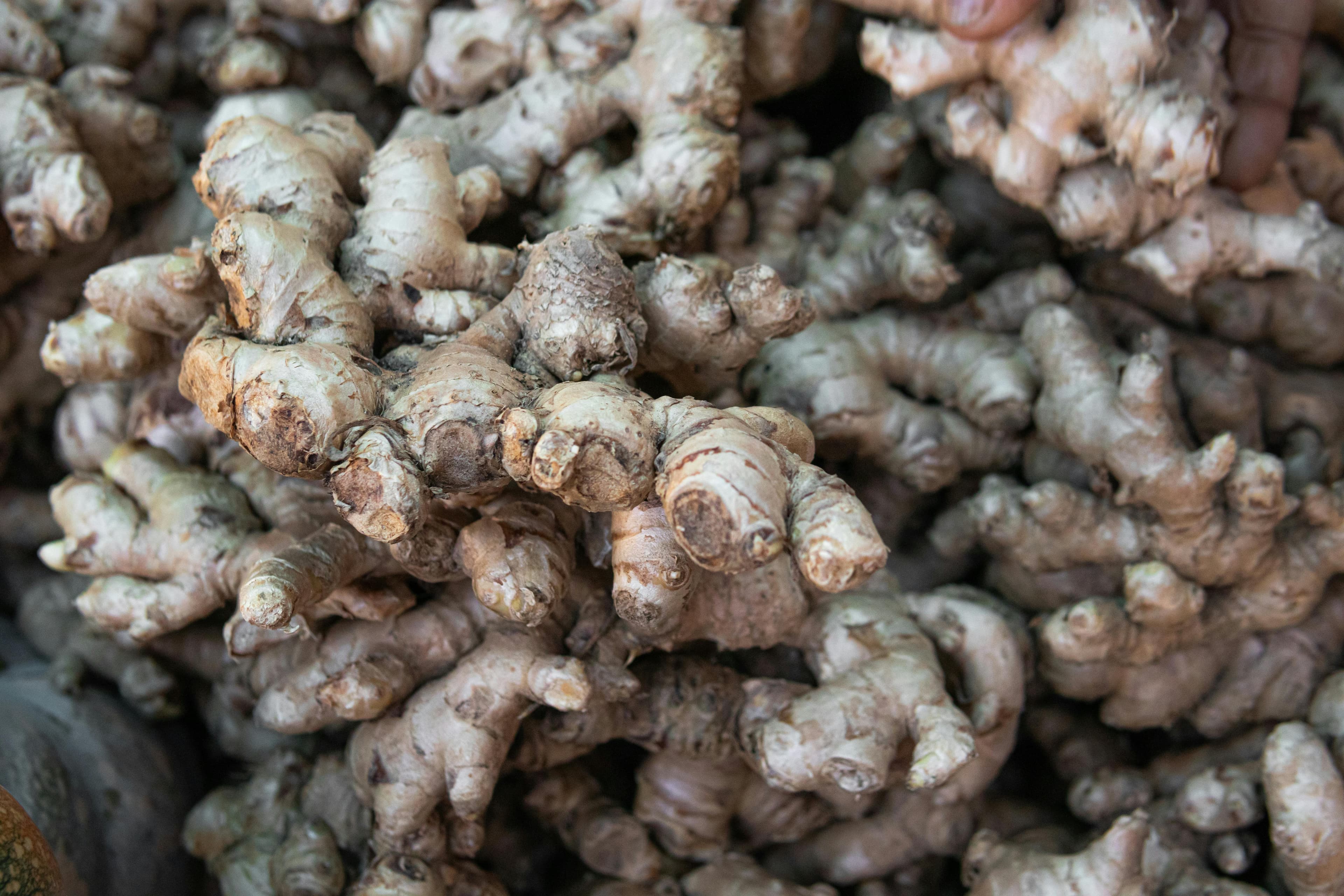 Premium Ginger