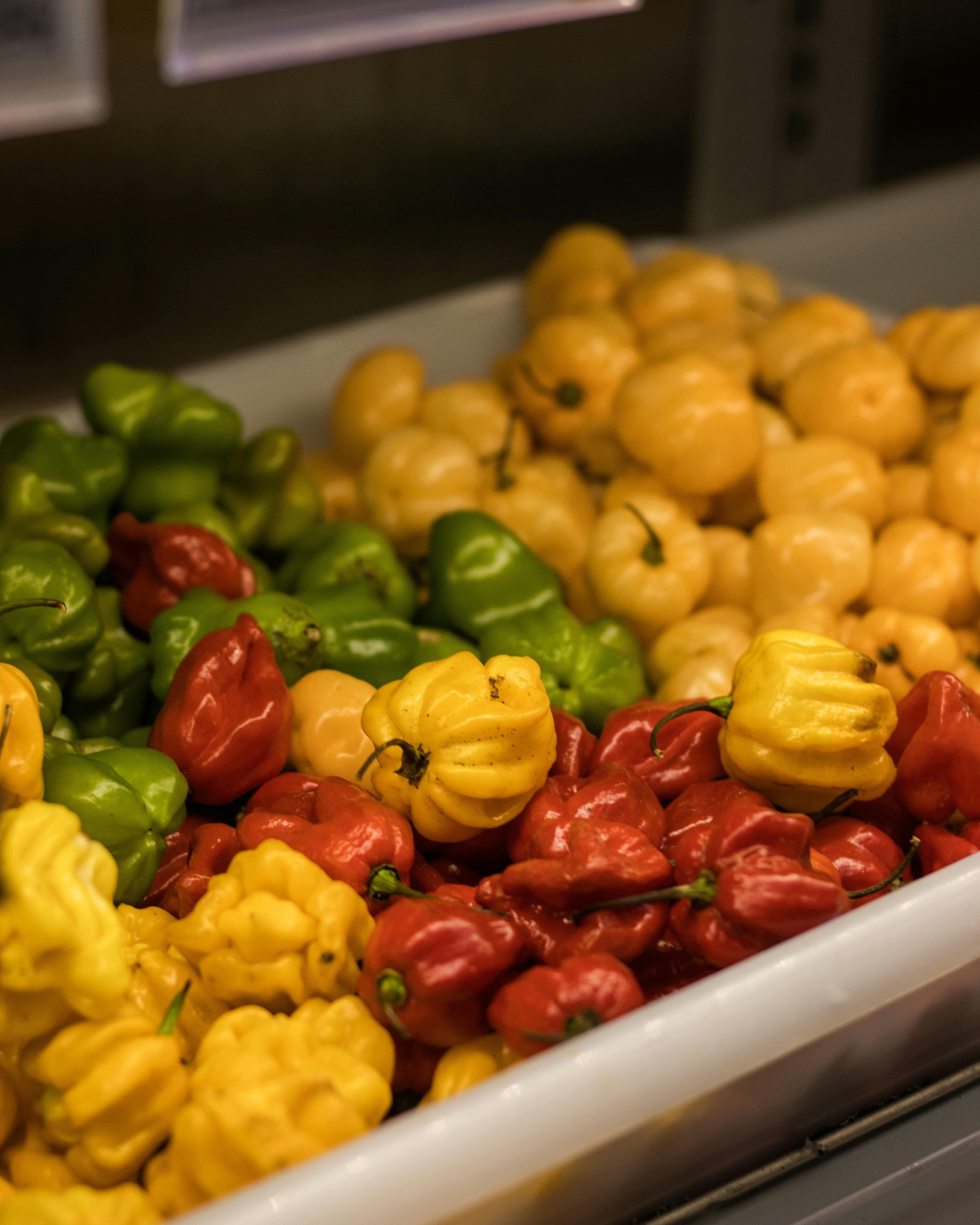 Scotch Bonnet